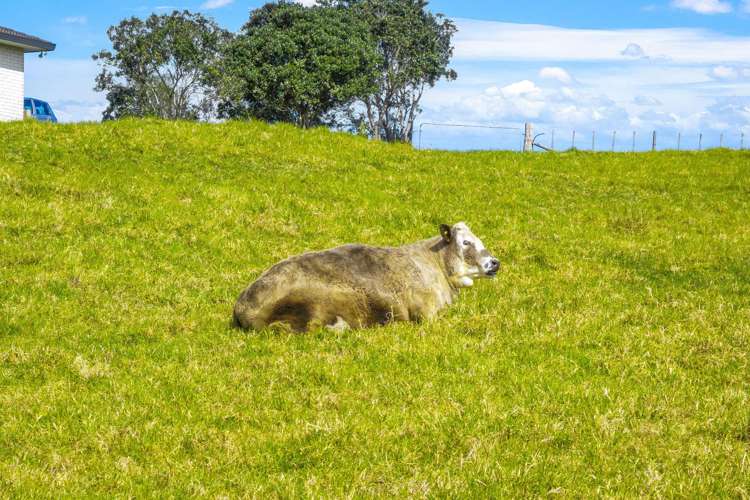 Port Albert Wellsford_6