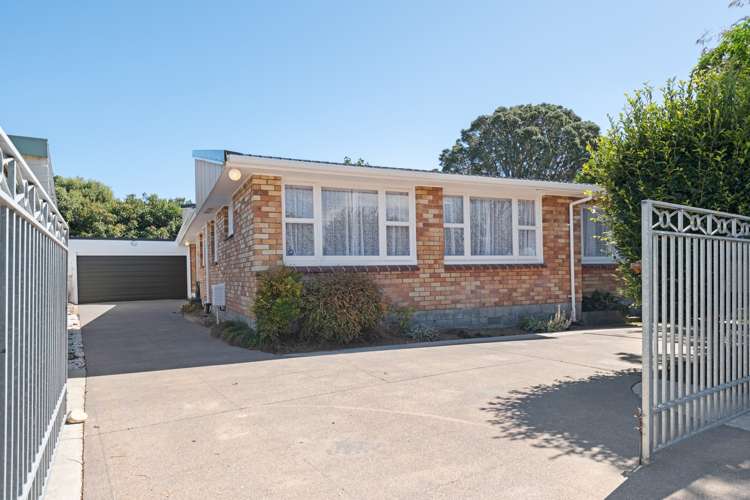 91 Manu Crescent Upper Vogeltown_26