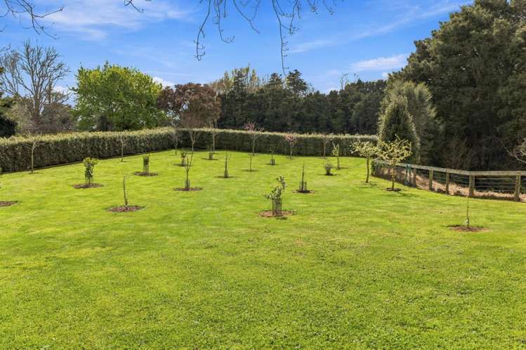 573A Kuranui Road Morrinsville_12