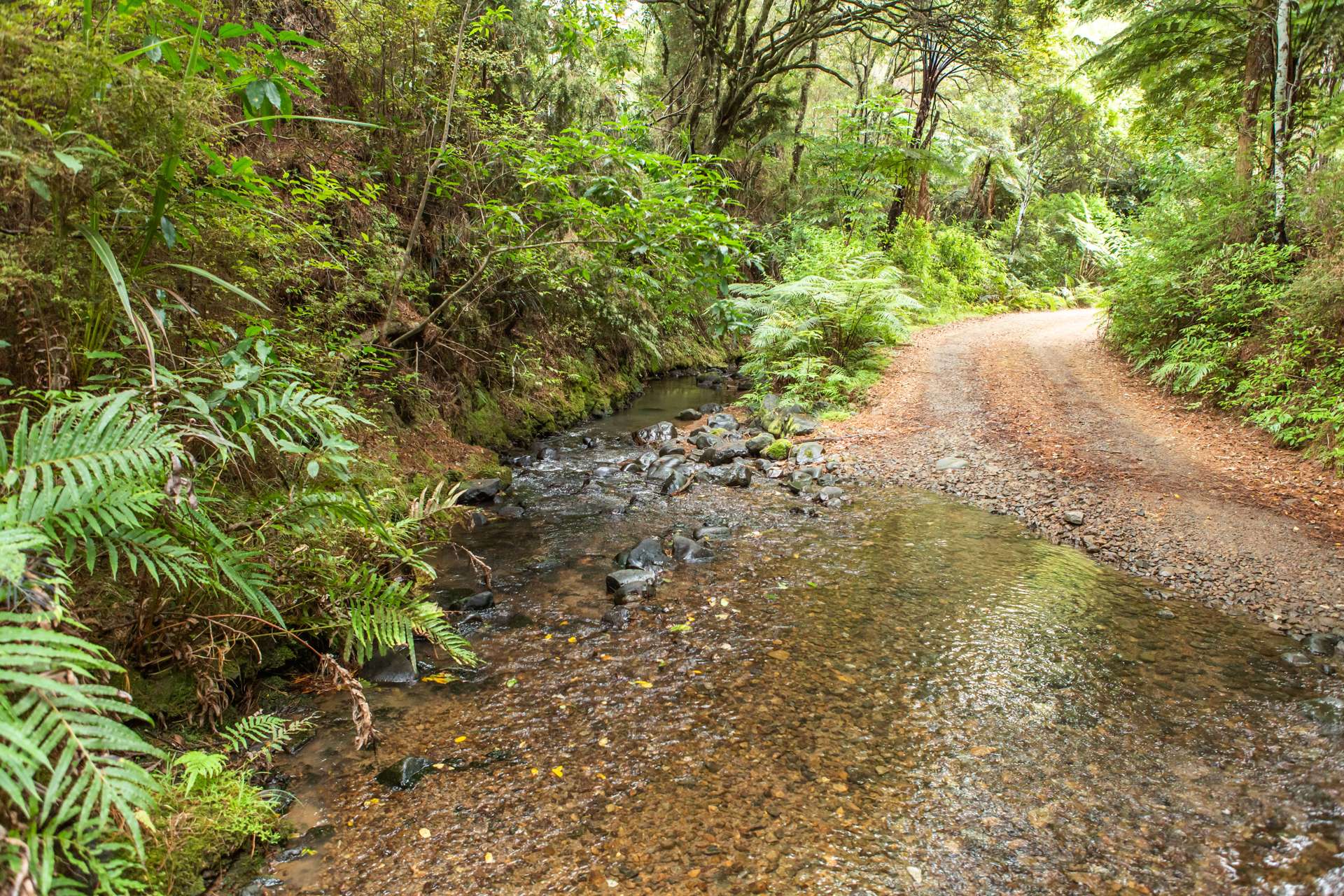 Honeymoon Valley Road Peria_0