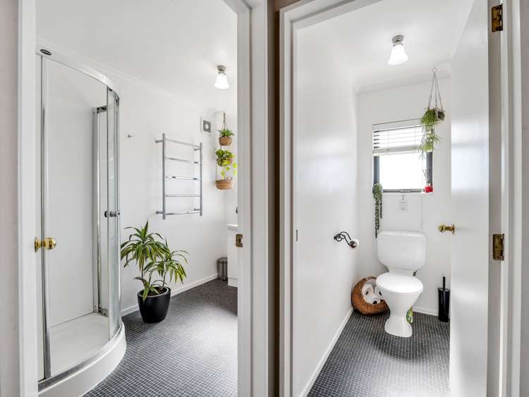 166 Cambridge Avenue Ashhurst_23