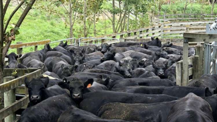 Millars Road Carterton_7