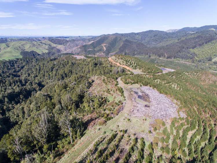 1753 Honikiwi Road Otorohanga_3