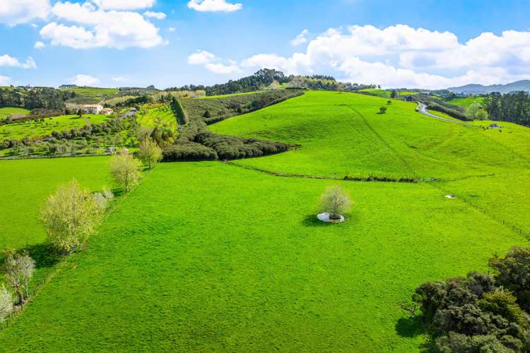 77 Sharp Road Matakana_13