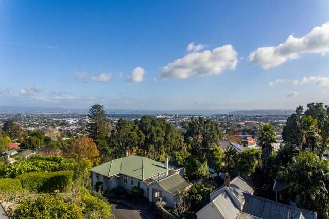 20A Hillside Crescent South Mt Eden_2