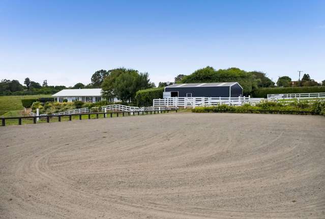 167 Henwood Road Bell Block_4