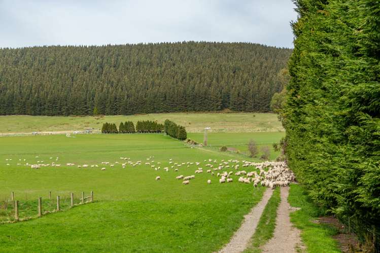 Wairiri Road Glentunnel_10