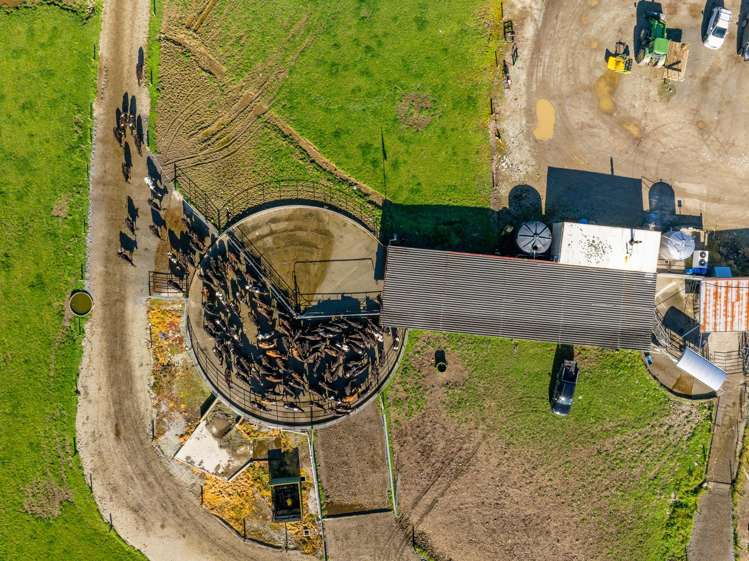 1707-1780 Takaka Valley Highway East Takaka_13