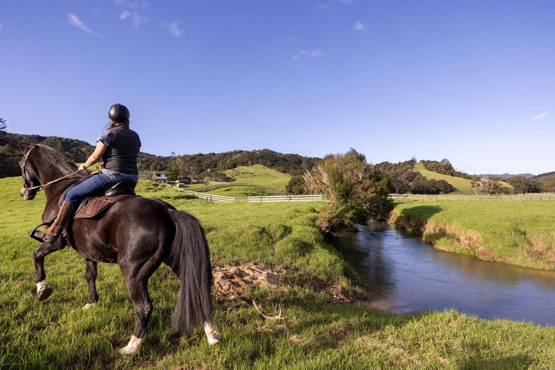 719 Waikare Road Kawakawa_0