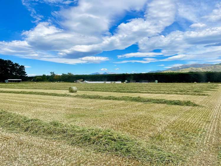 48 Gardiners Road, Starvation Hill Oxford_18