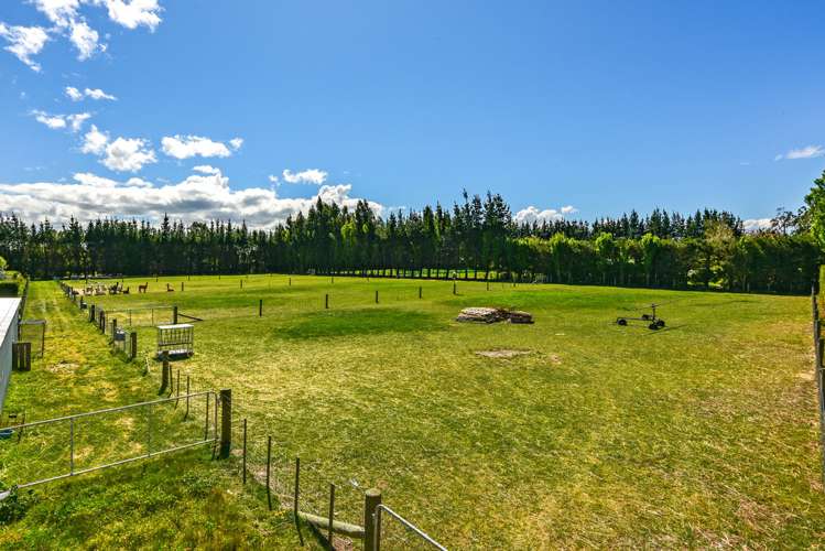 1316 Tramway Road Dunsandel_21