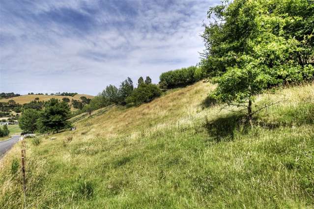 5 Ridgeway Terrace Taradale_2