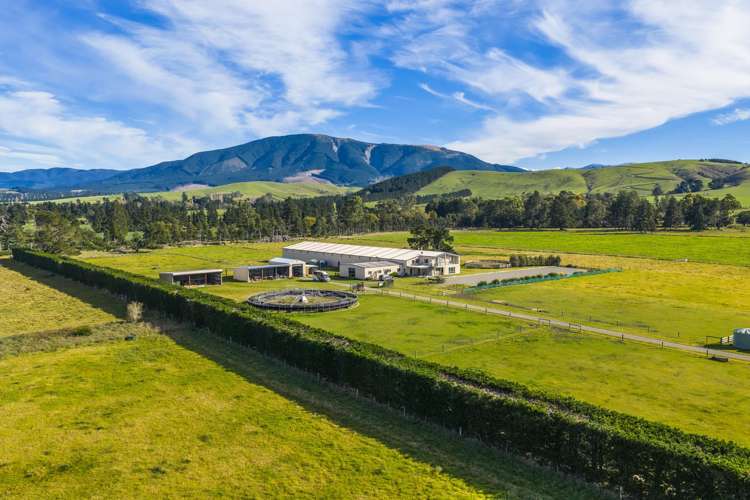 124 Inglis Road Okuku_5