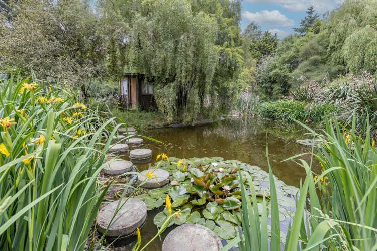 1221 North Eyre Road West Eyreton_22