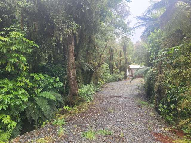 Native Bush Hideaway in Franz Josef