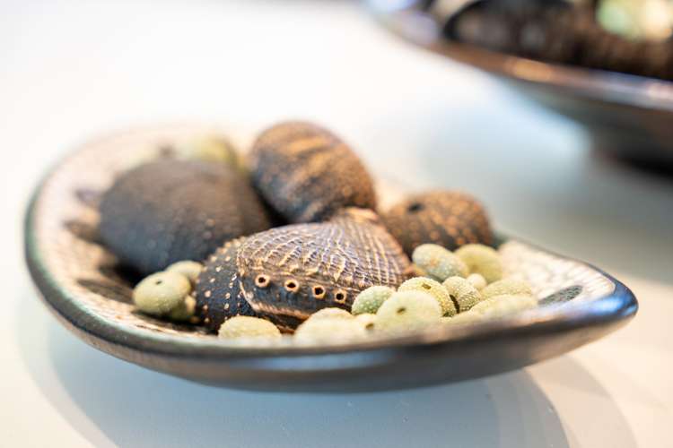 5/27 Beach Road Paekakariki_32