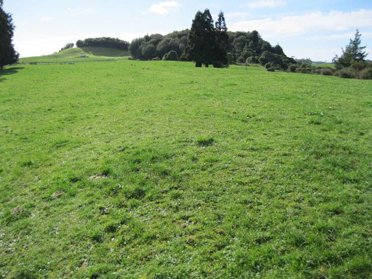 41 Leyland Road Whakamarama_4