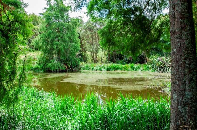 11 Sanctuary Lane Tamahere_48