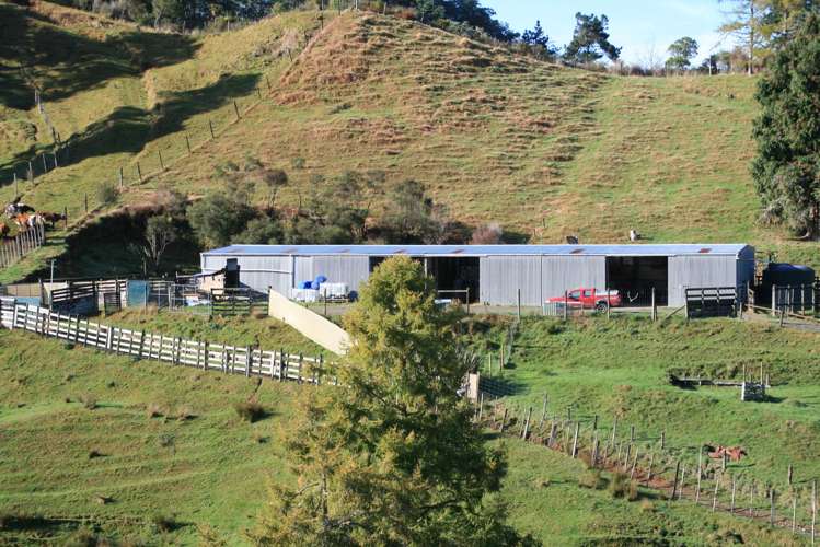 4869 Ohura Road Pohokura_16