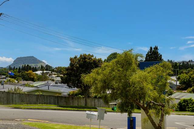 24A Princess Road Bellevue_1