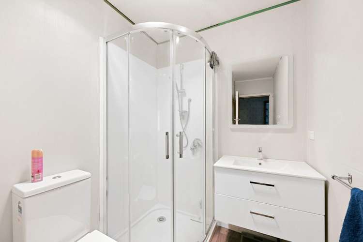 18 Maitland Street Frankton_8