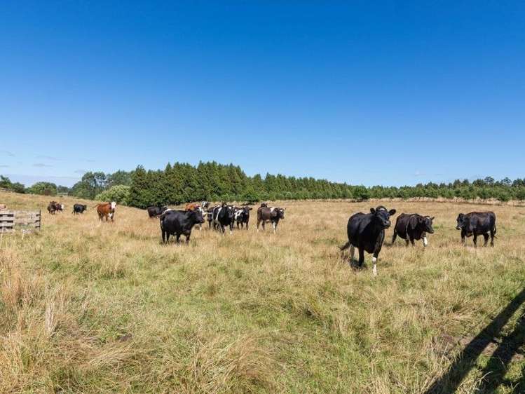 93 Jackson Road Hamurana_22