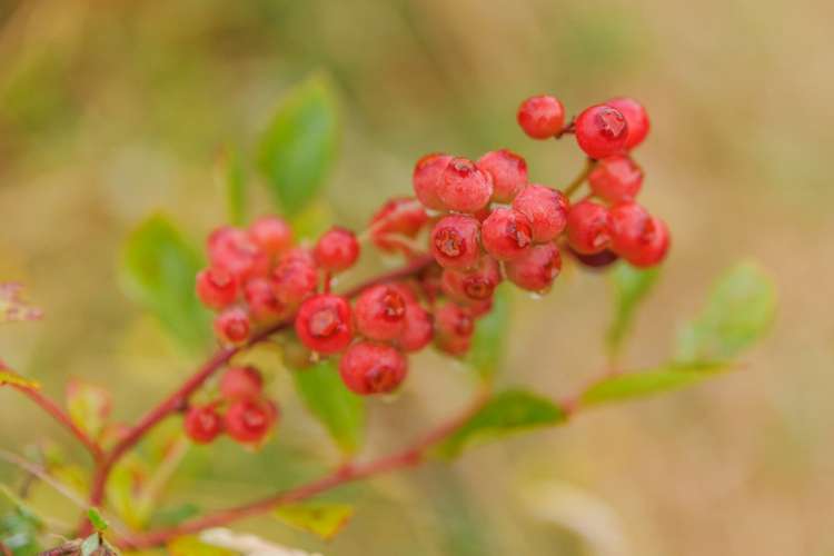 790 Pungaere Road Kerikeri Surrounds_32