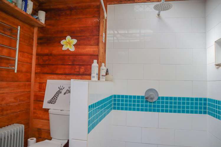 4629 State Highway 6 Te Miko_15