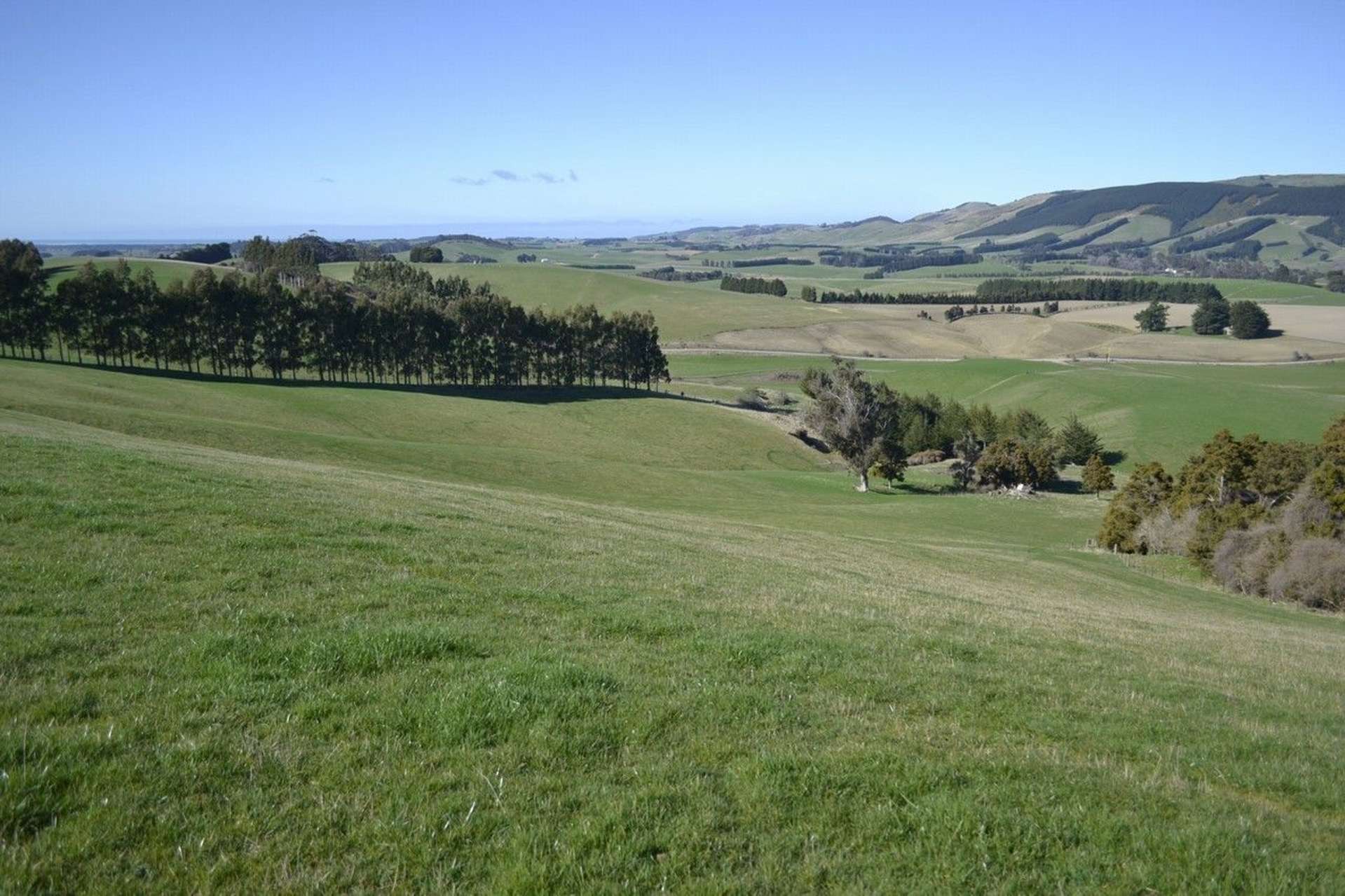 Waitepeka School Road Clutha_0