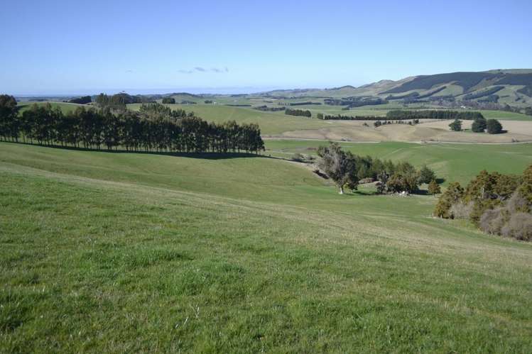 Waitepeka School Road Clutha_0