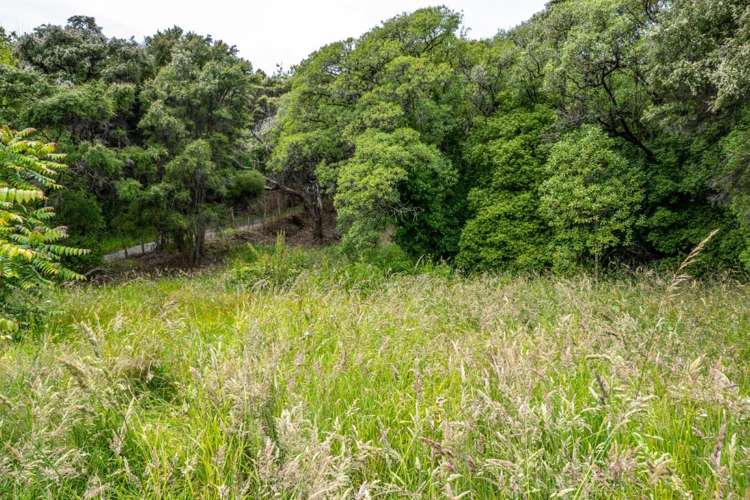 9 Rue Pompallier Akaroa_10