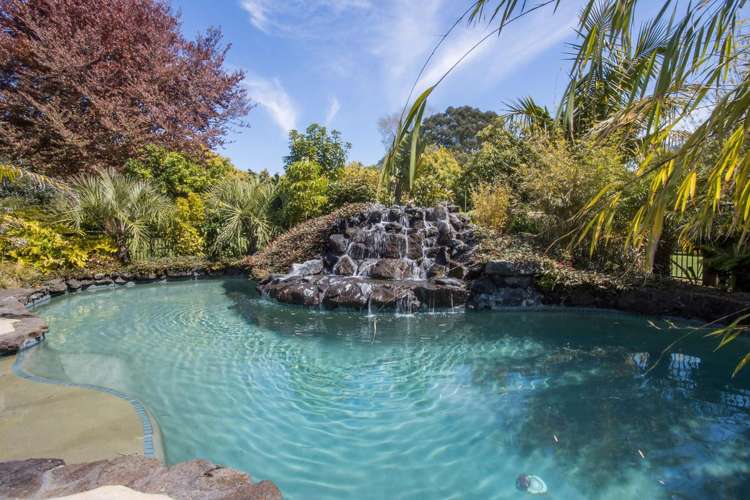 13B Astelia Drive Omokoroa_1