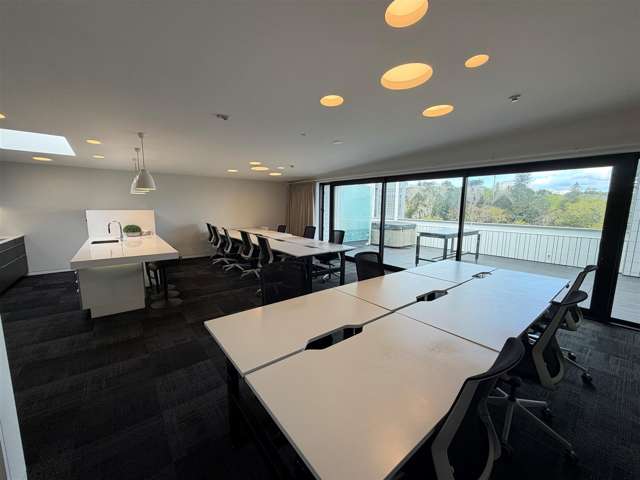Level 4b, 23 Falcon Street Parnell_2