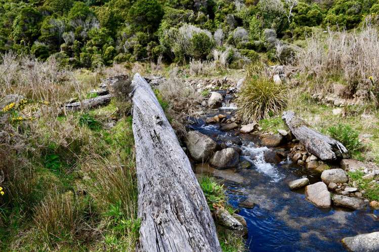 904 Karamea Kohaihai Road Karamea_26
