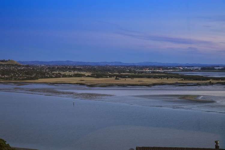 6a Hames Terrace Hillsborough_3