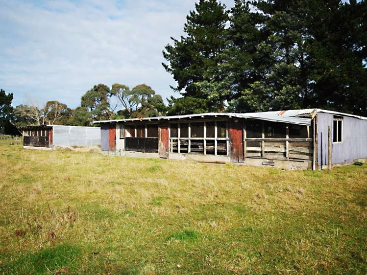 107 Norfolk Road Carterton_17