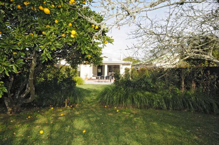 19 Telford Avenue Mount Eden_6