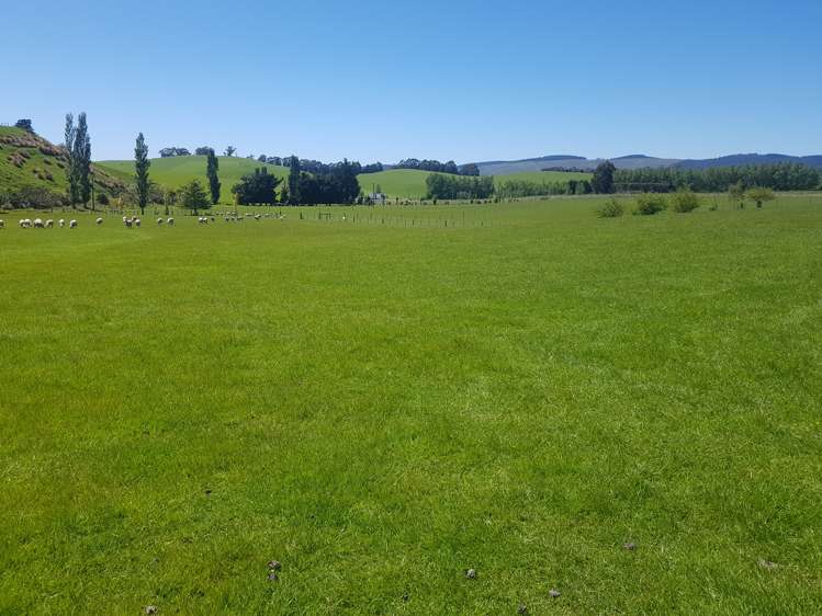 14 Hall Road Milton_1