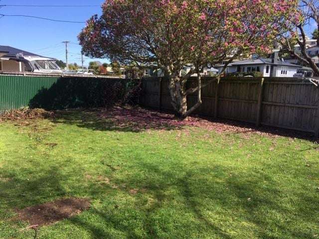 73A Windsor Road Bellevue_4