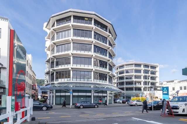 Level 2/49 Tory Street Te Aro_1