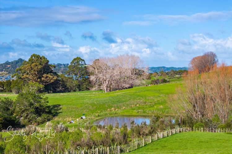 Petley Road Paparoa_10