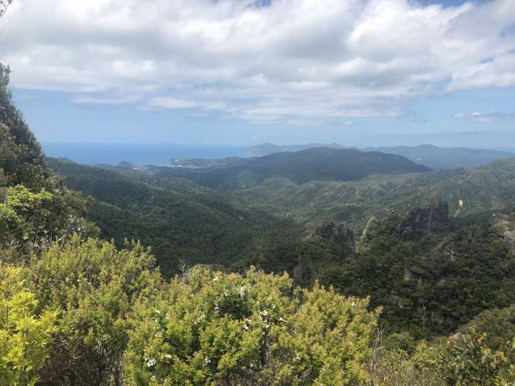 39 Sandhills Road Great Barrier Island (Aotea Island)_73