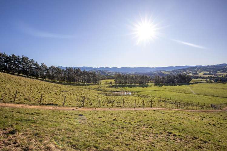 1527 Wakarara Road Ongaonga_23