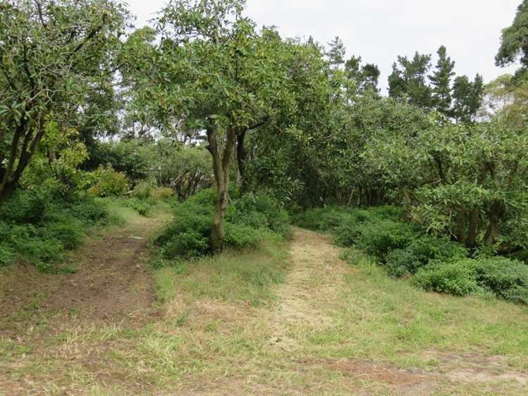 5163 State Highway 1 Ngataki_4