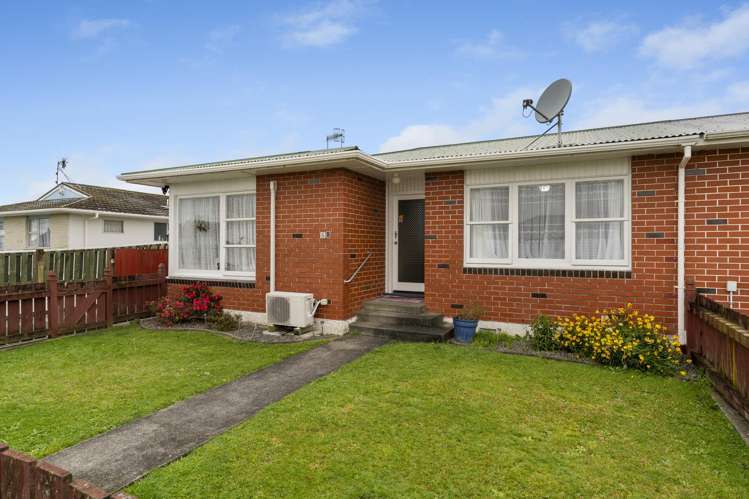 58 Winchester Street Levin_12
