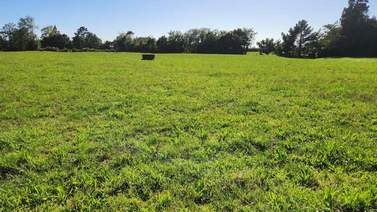 45 and 47 Windsor Road Inglewood_4