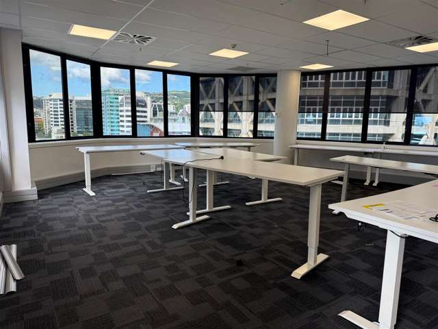 Level 9, Rear, 5 Willeston Street Wellington Central_2