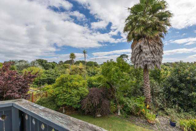 11 Avocet Avenue Maungatapu_4