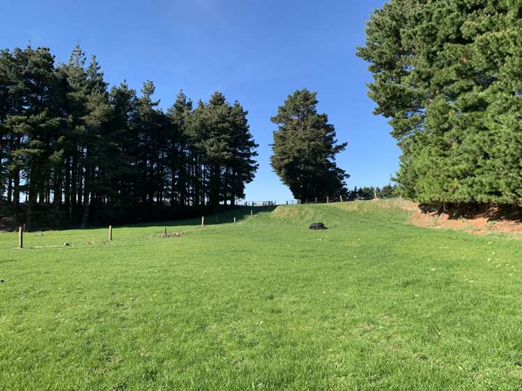 339 Mangaroa Road Eketahuna_14