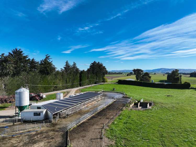 321-349 Chittock Road Maitland_6